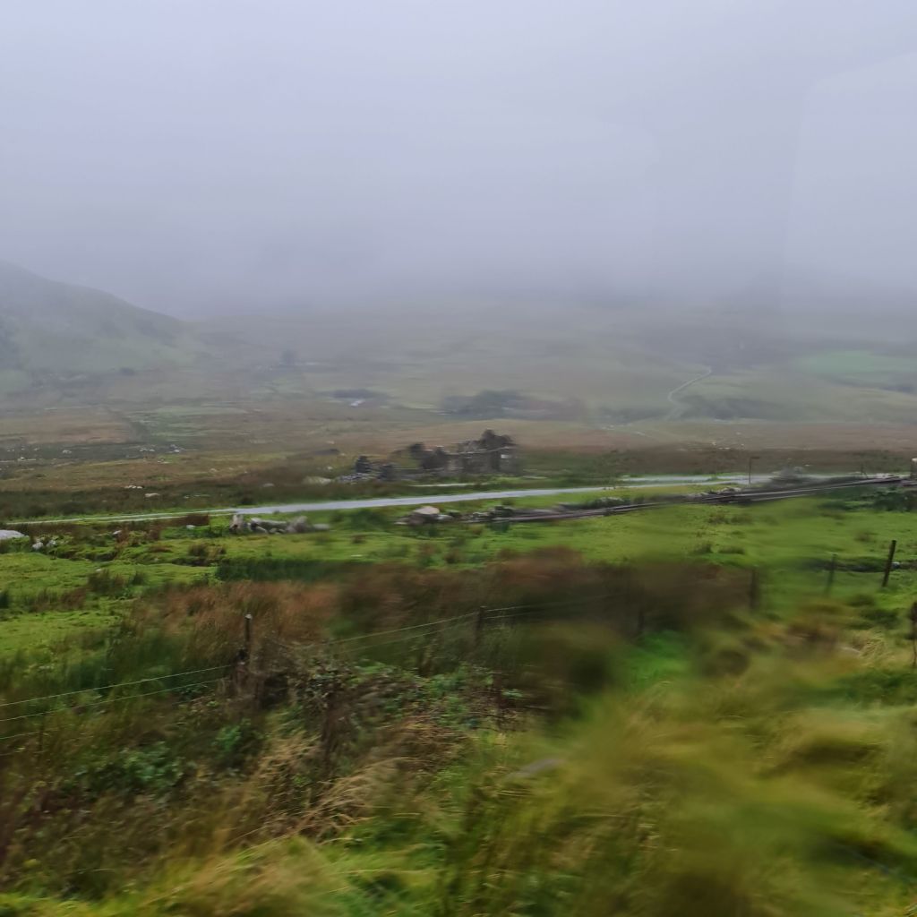 Take me out of the&nbsp;Dark