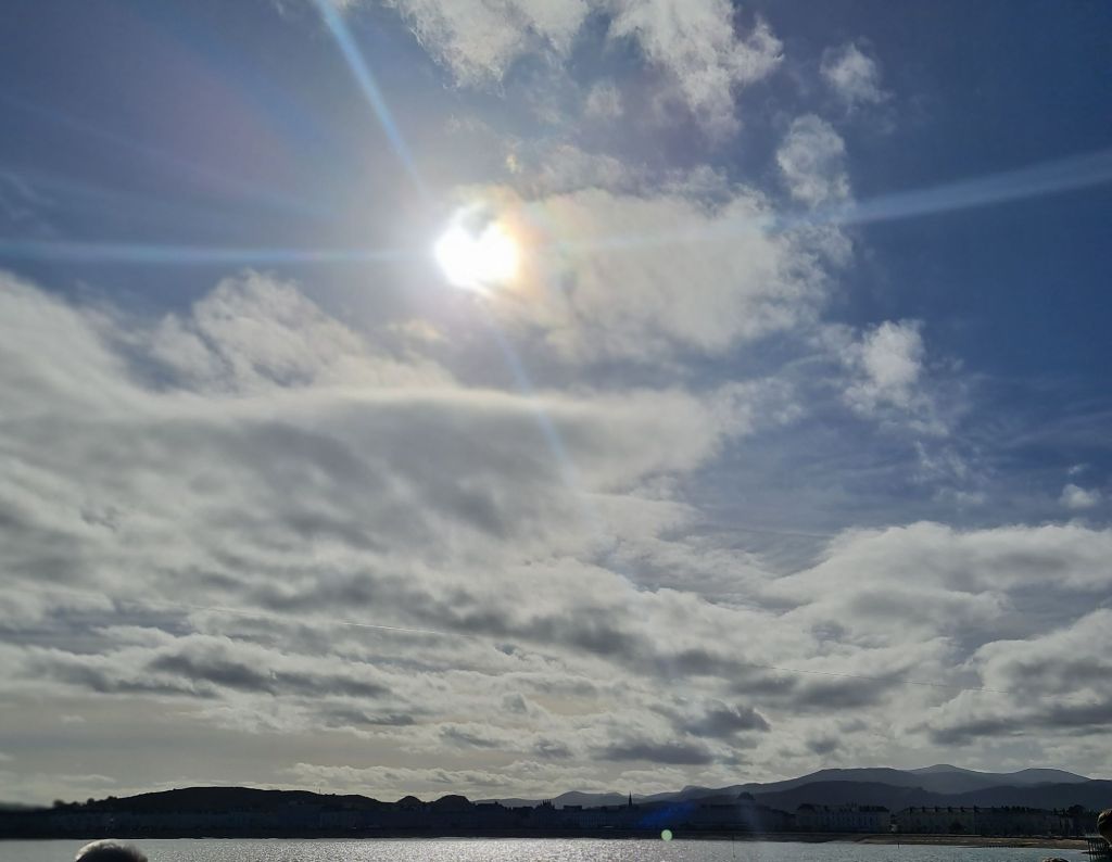 Staying Sane and&nbsp;Survive